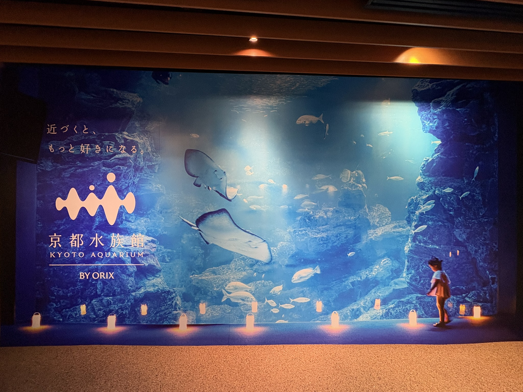Thumbnail of post image 163
